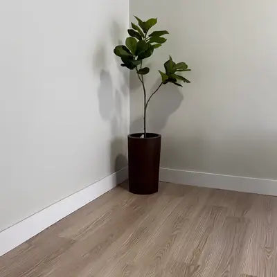 Foto de depoimento