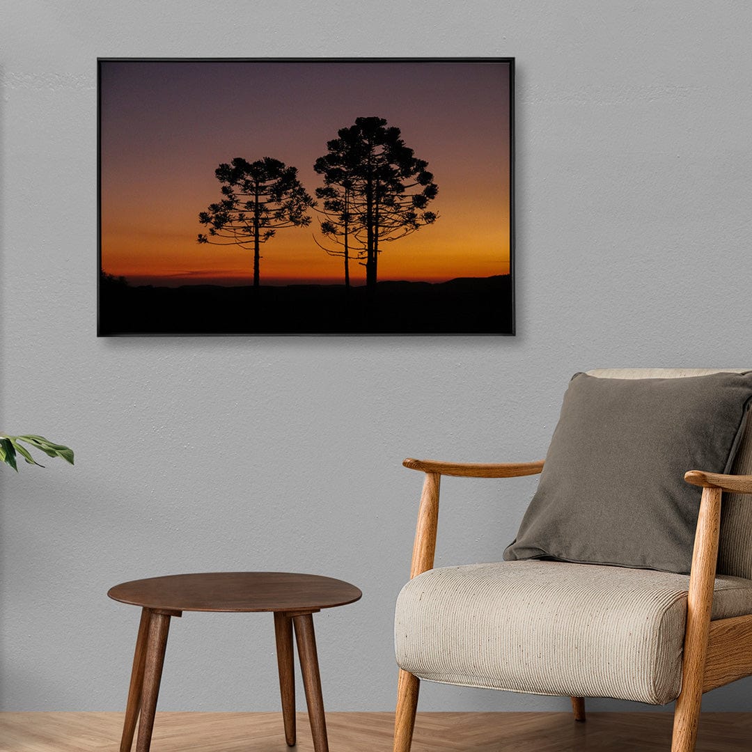 Quadro Decorativo Araucária | Crônicas na Bagagem