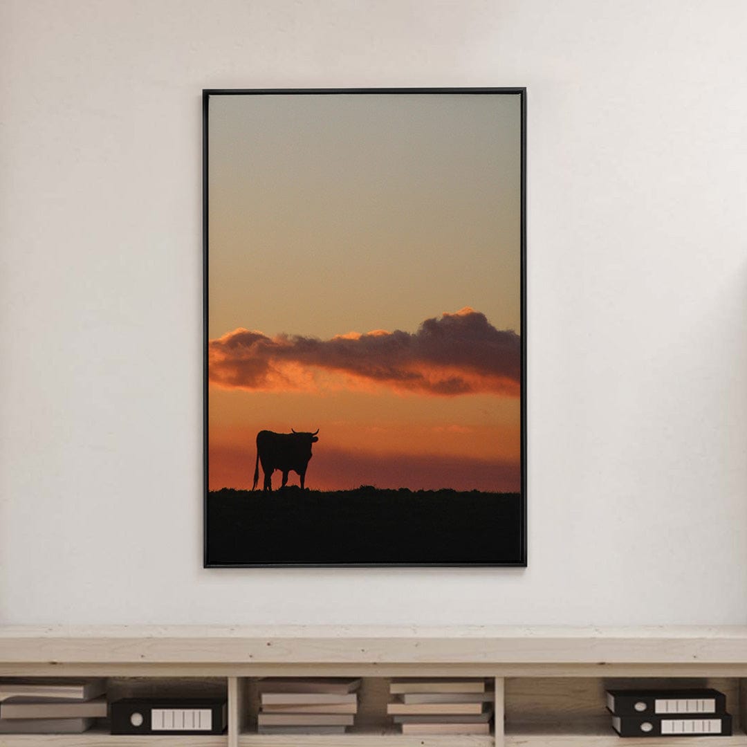 Quadro Decorativo Boi | Crônicas na Bagagem