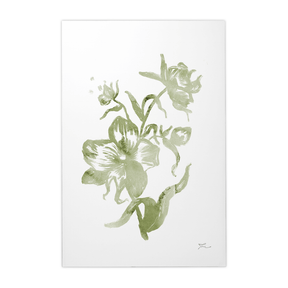 Quadro Decorativo Orquídea 04 | Thaís Mota