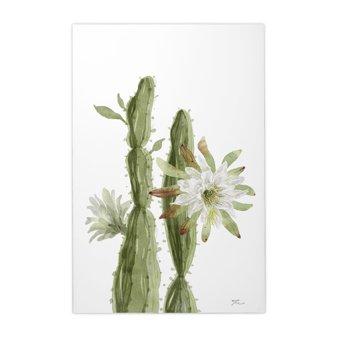 Quadro Decorativo Flor de Mandacura | Thaís Mota