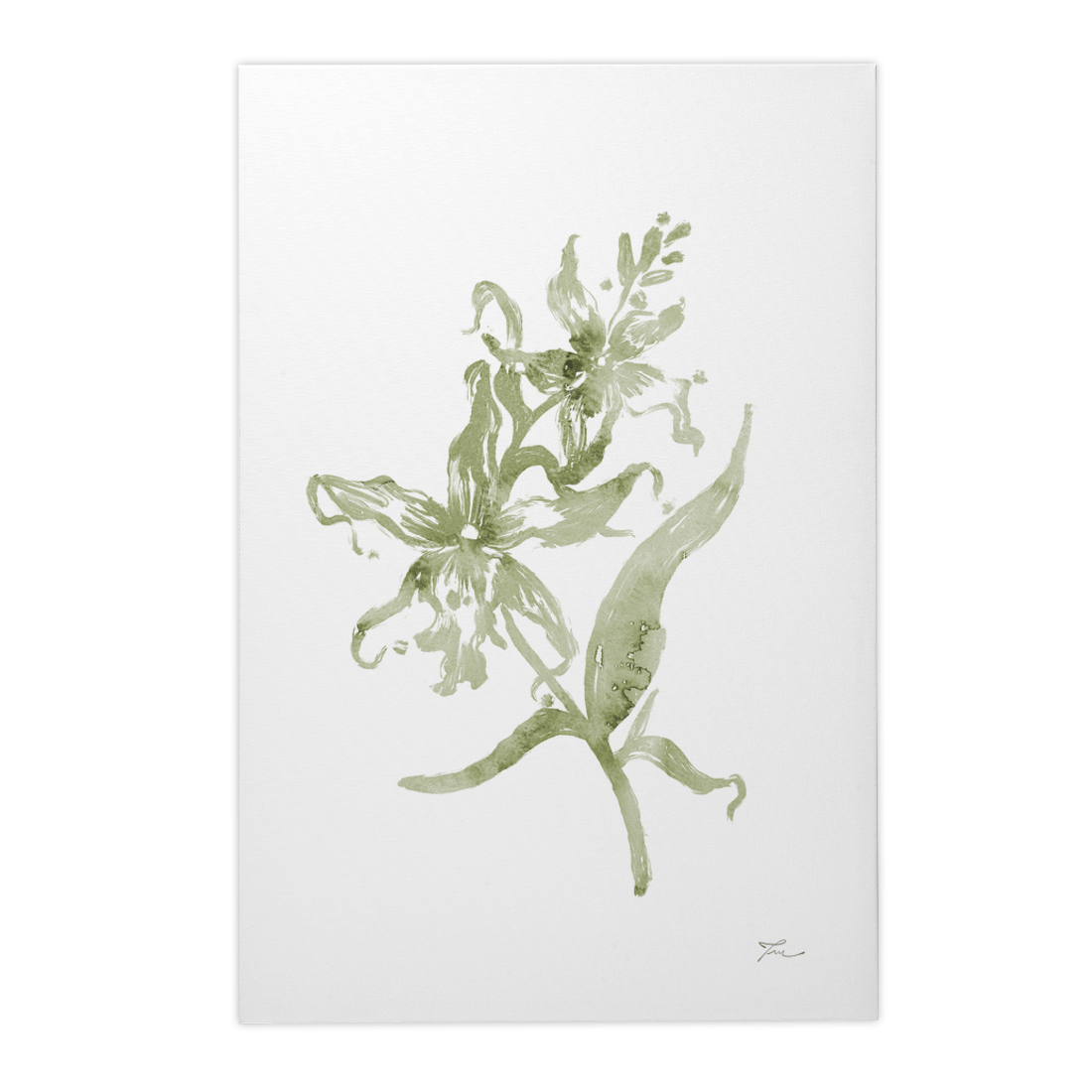 Quadro Decorativo Orquídea 05 | Thaís Mota