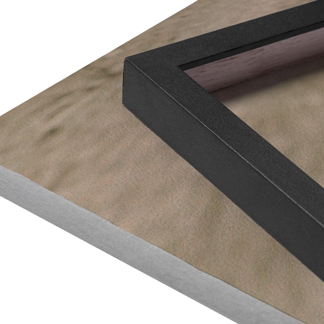 Quadro Decorativo Guanaco 1 | Crônicas na Bagagem