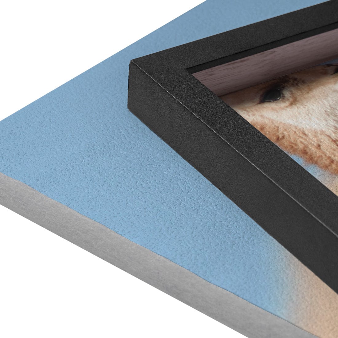 Quadro Decorativo Guanaco 4 | Crônicas na Bagagem