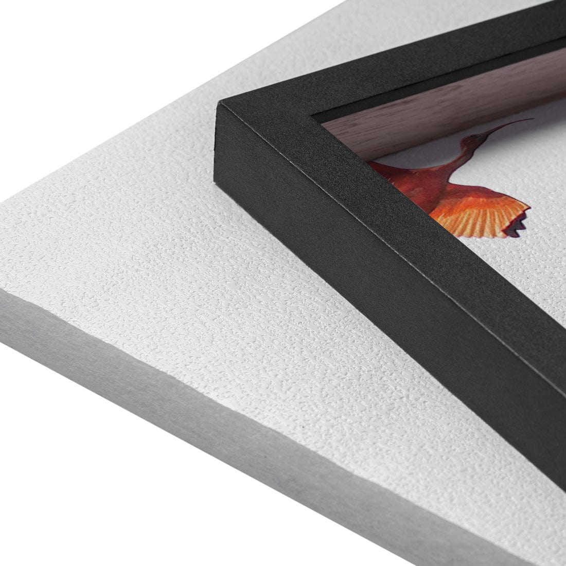 Quadro Decorativo Guará | Crônicas na Bagagem