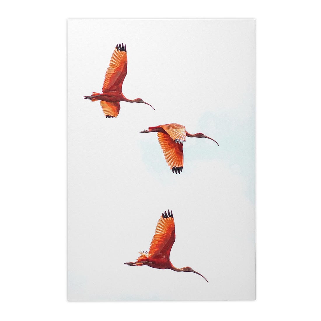 Quadro Decorativo Guará | Crônicas na Bagagem