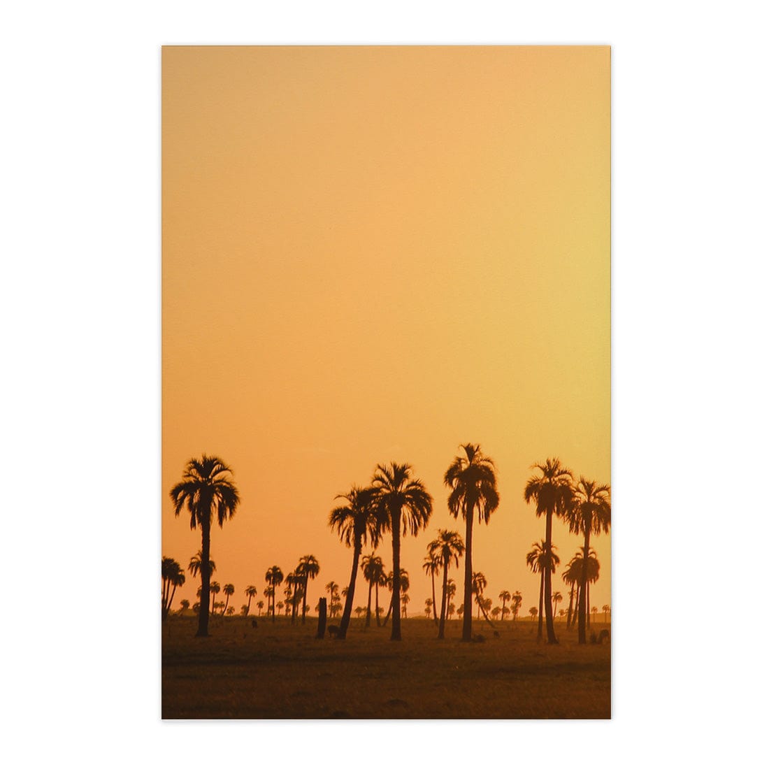 Quadro Decorativo Pôr do Sol | Crônicas na Bagagem