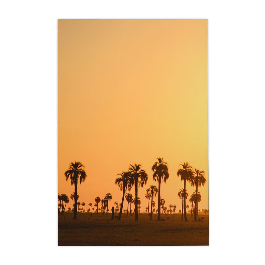 Quadro Decorativo Pôr do Sol | Crônicas na Bagagem
