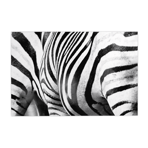 Quadro Decorativo Zebra Listrada | Sâmia Munaretti & Marcelo Baldin