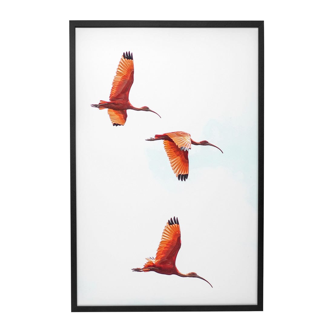 Quadro Decorativo Guará | Crônicas na Bagagem