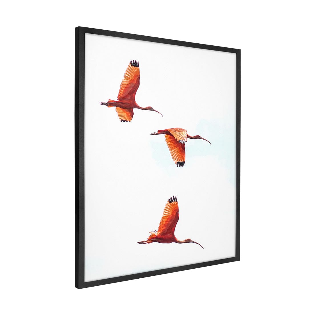 Quadro Decorativo Guará | Crônicas na Bagagem