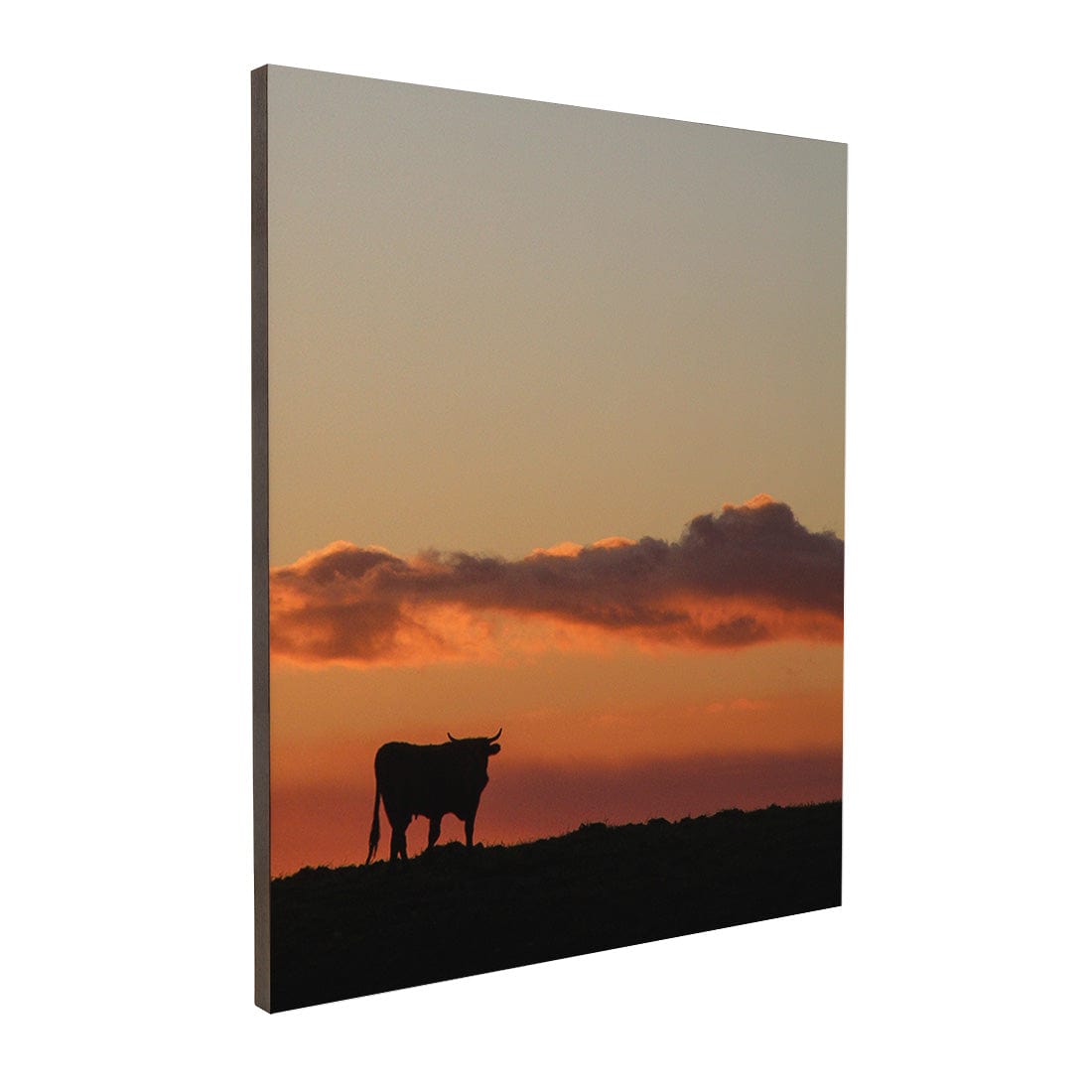 Quadro Decorativo Boi | Crônicas na Bagagem