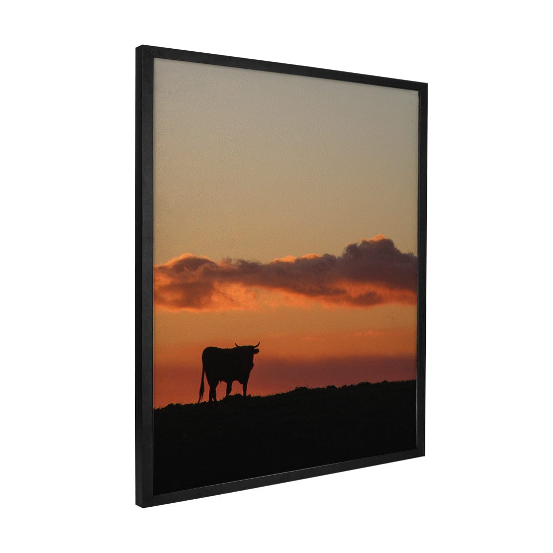 Quadro Decorativo Boi | Crônicas na Bagagem