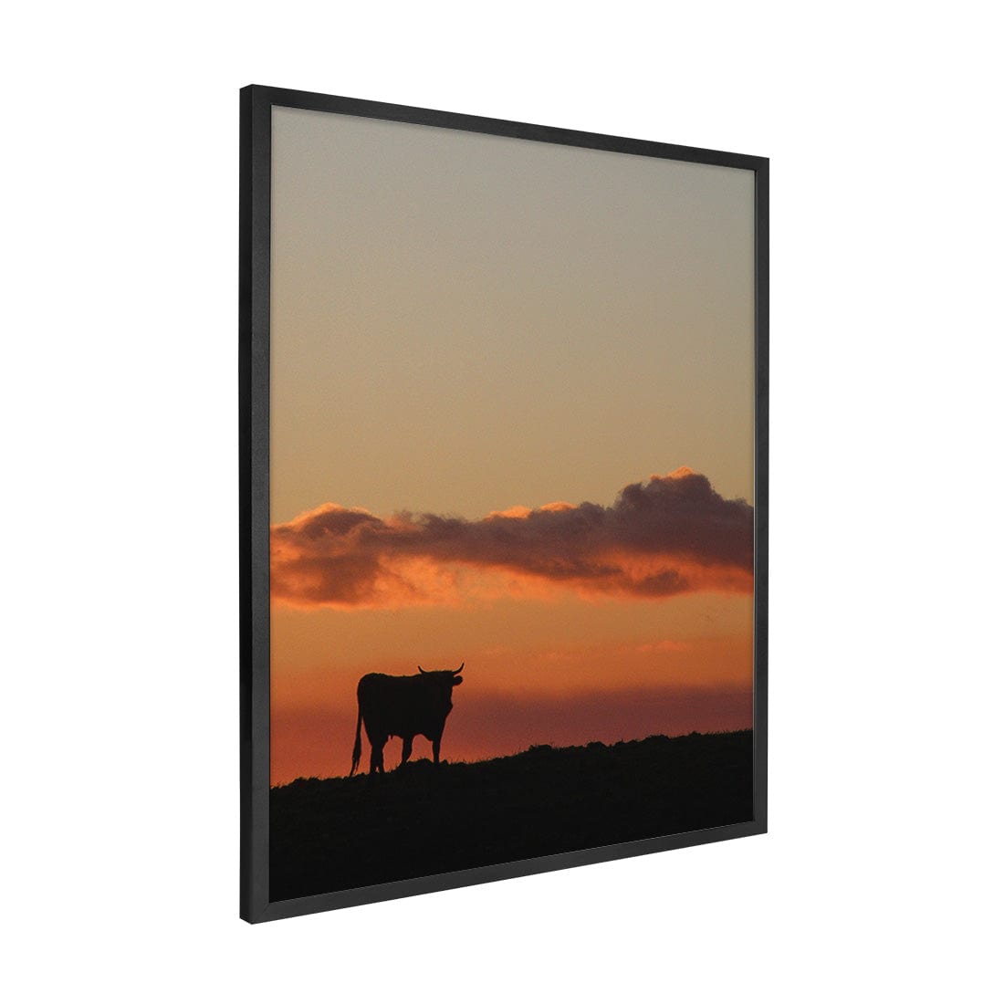 Quadro Decorativo Boi | Crônicas na Bagagem