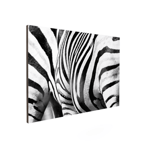Quadro Decorativo Zebra Listrada | Sâmia Munaretti & Marcelo Baldin