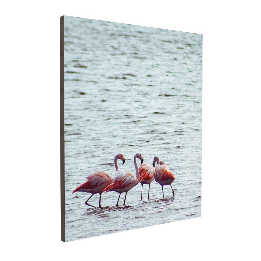 Quadro Decorativo Flamingo | Crônicas na Bagagem