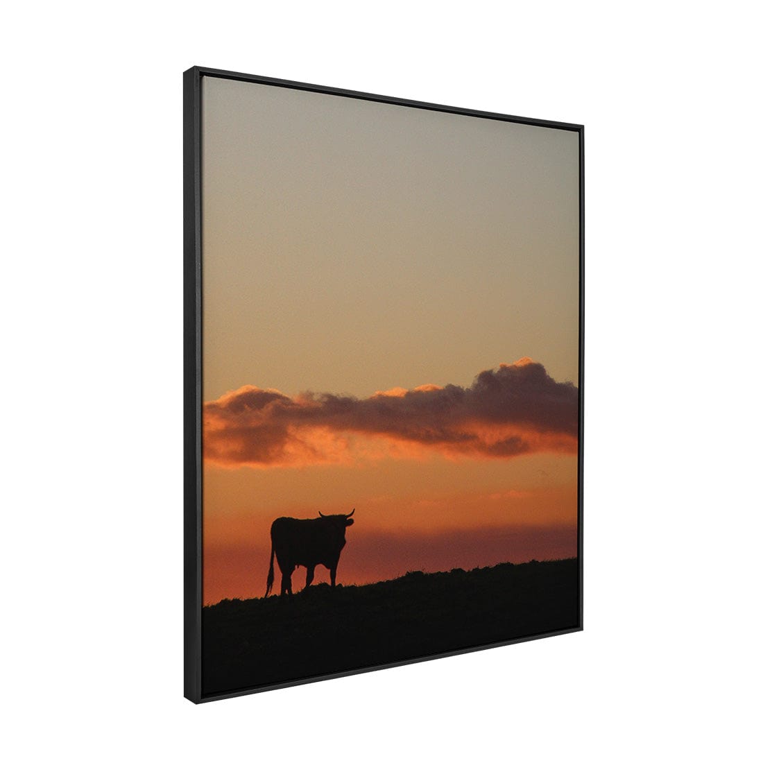 Quadro Decorativo Boi | Crônicas na Bagagem