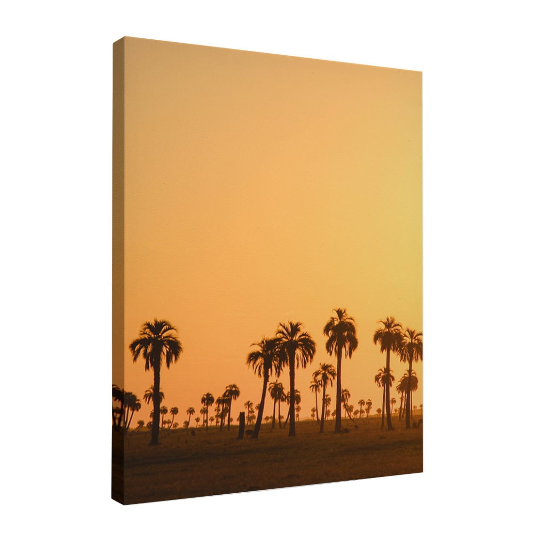 Quadro Decorativo Pôr do Sol | Crônicas na Bagagem