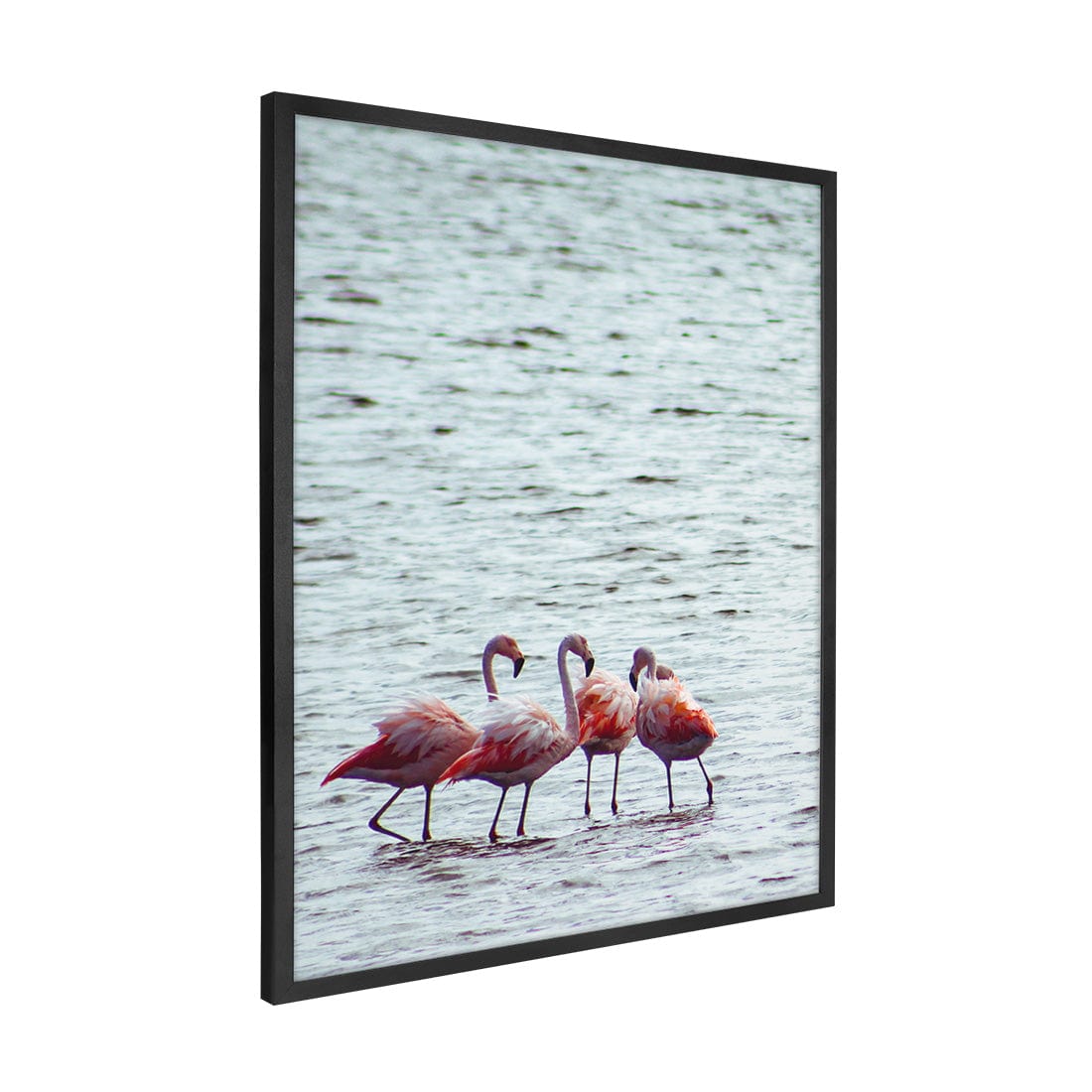 Quadro Decorativo Flamingo | Crônicas na Bagagem