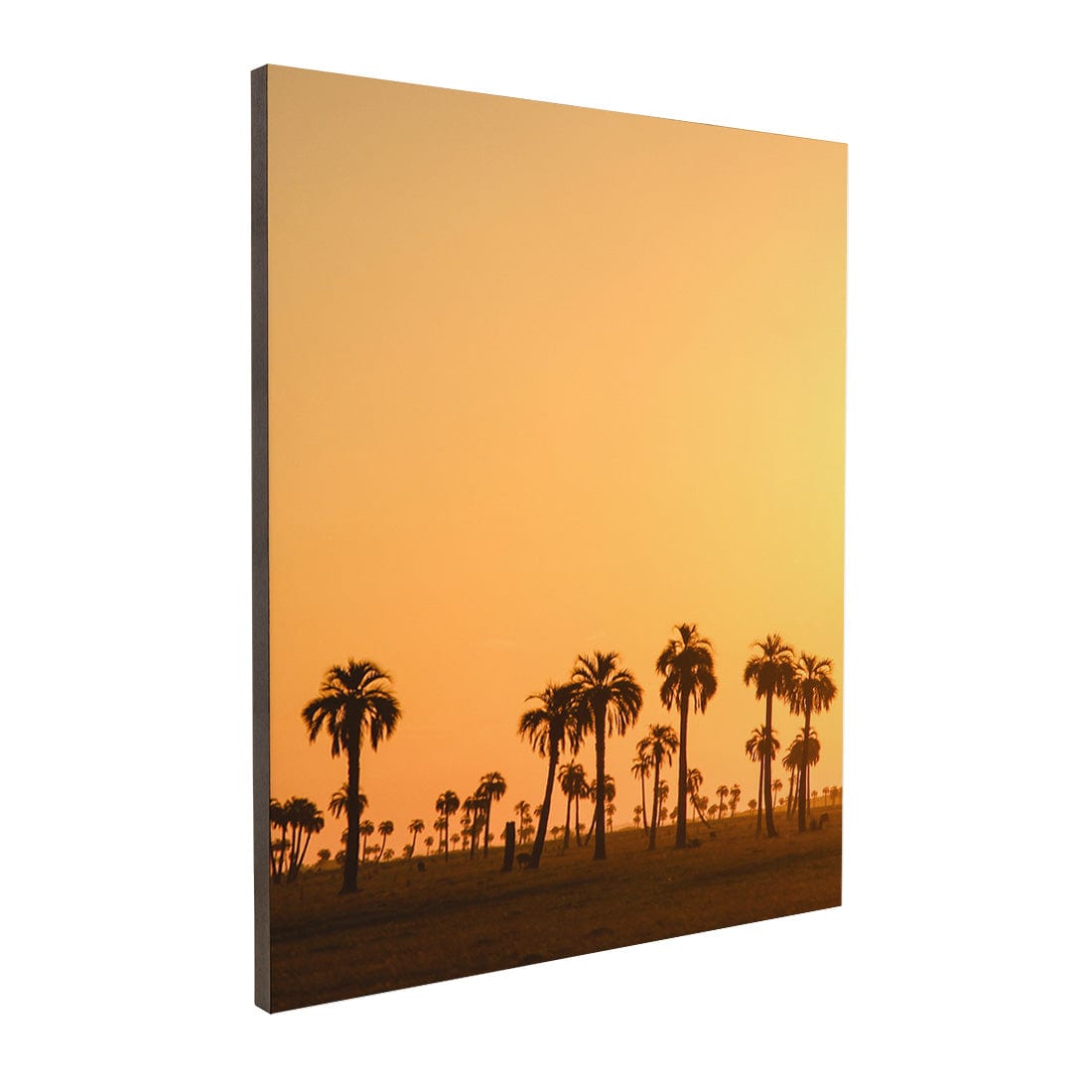 Quadro Decorativo Pôr do Sol | Crônicas na Bagagem