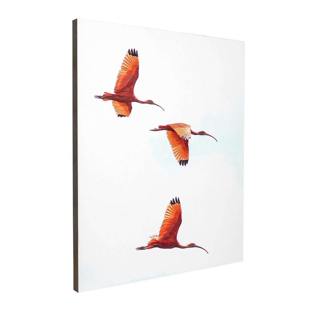 Quadro Decorativo Guará | Crônicas na Bagagem