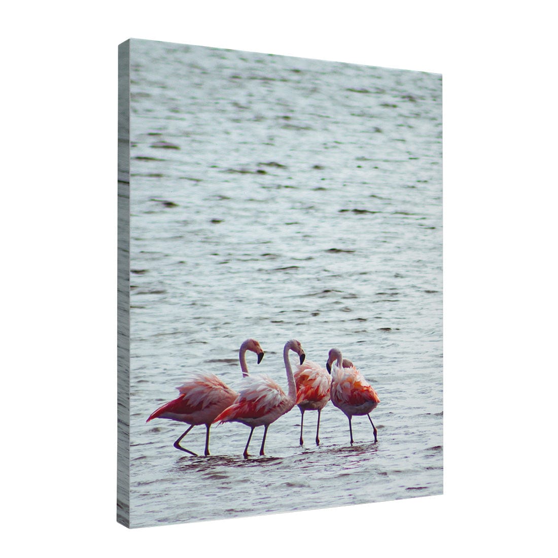 Quadro Decorativo Flamingo | Crônicas na Bagagem