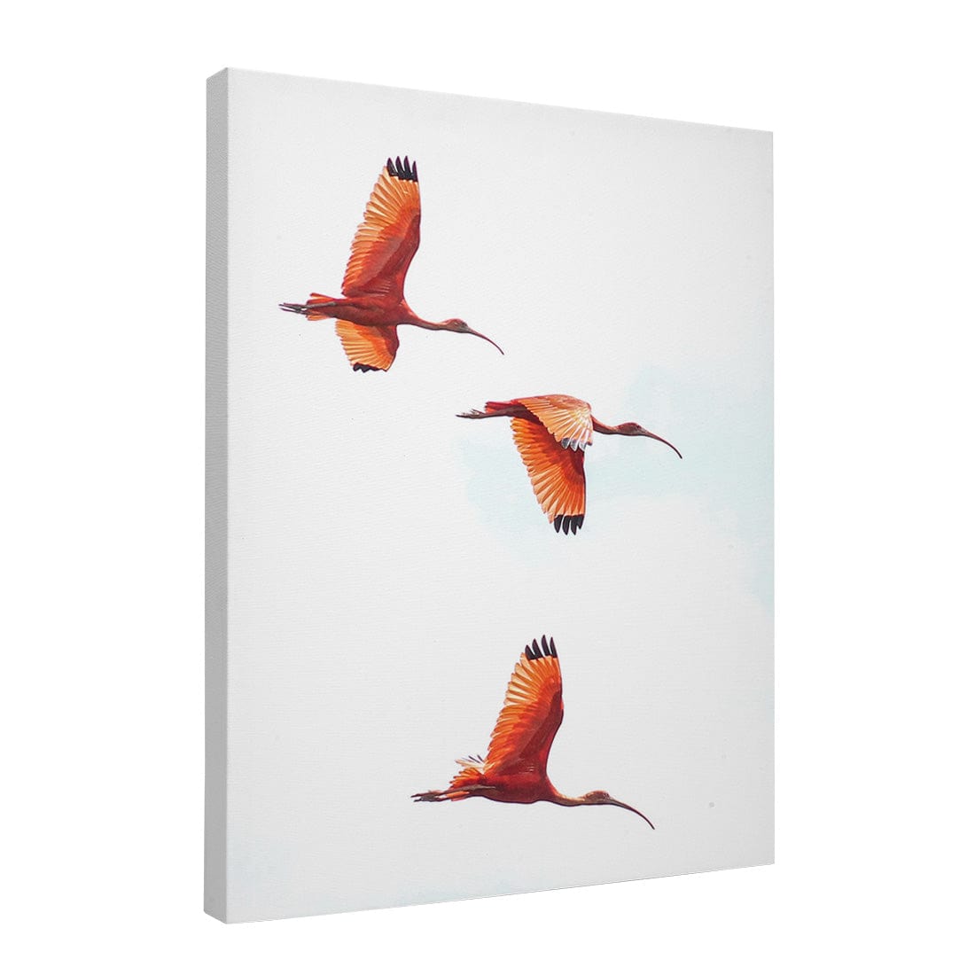 Quadro Decorativo Guará | Crônicas na Bagagem