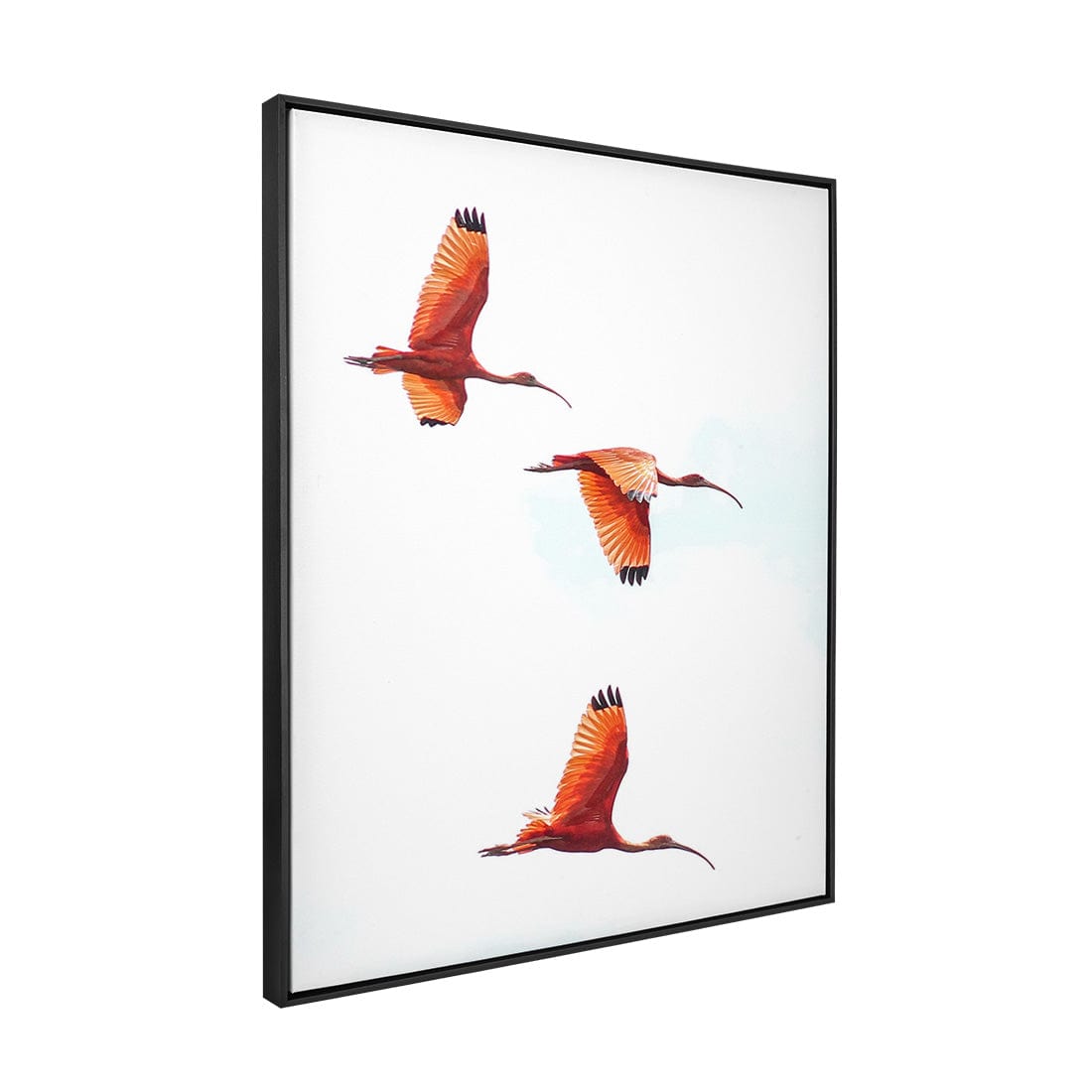 Quadro Decorativo Guará | Crônicas na Bagagem
