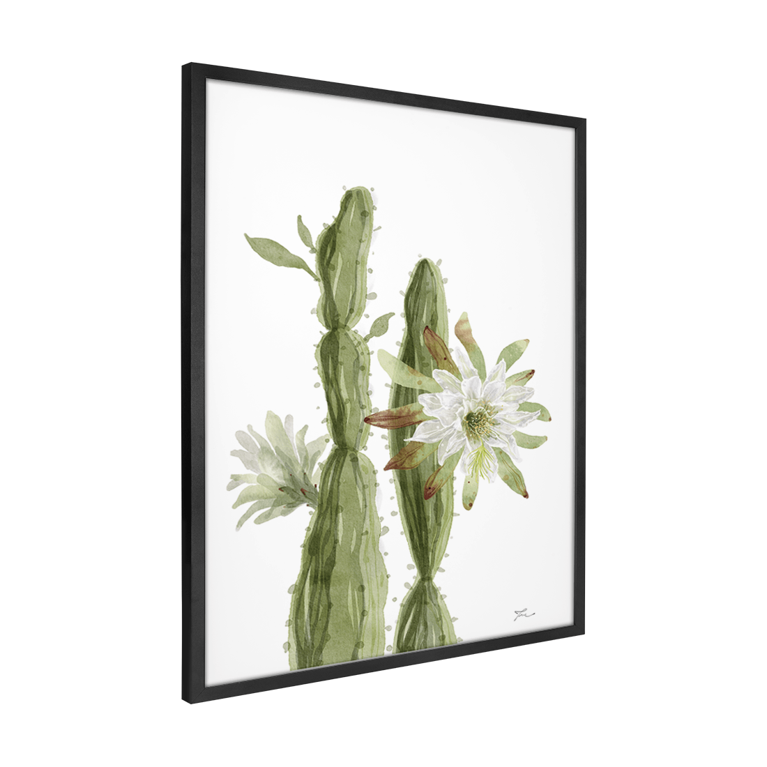 Quadro Decorativo Flor de Mandacura | Thaís Mota