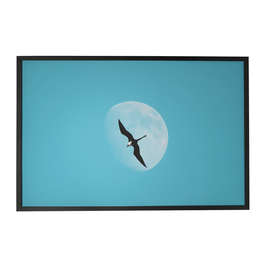 Quadro Decorativo Além das Asas | Glaucon Hartmam - Meu Rodapé