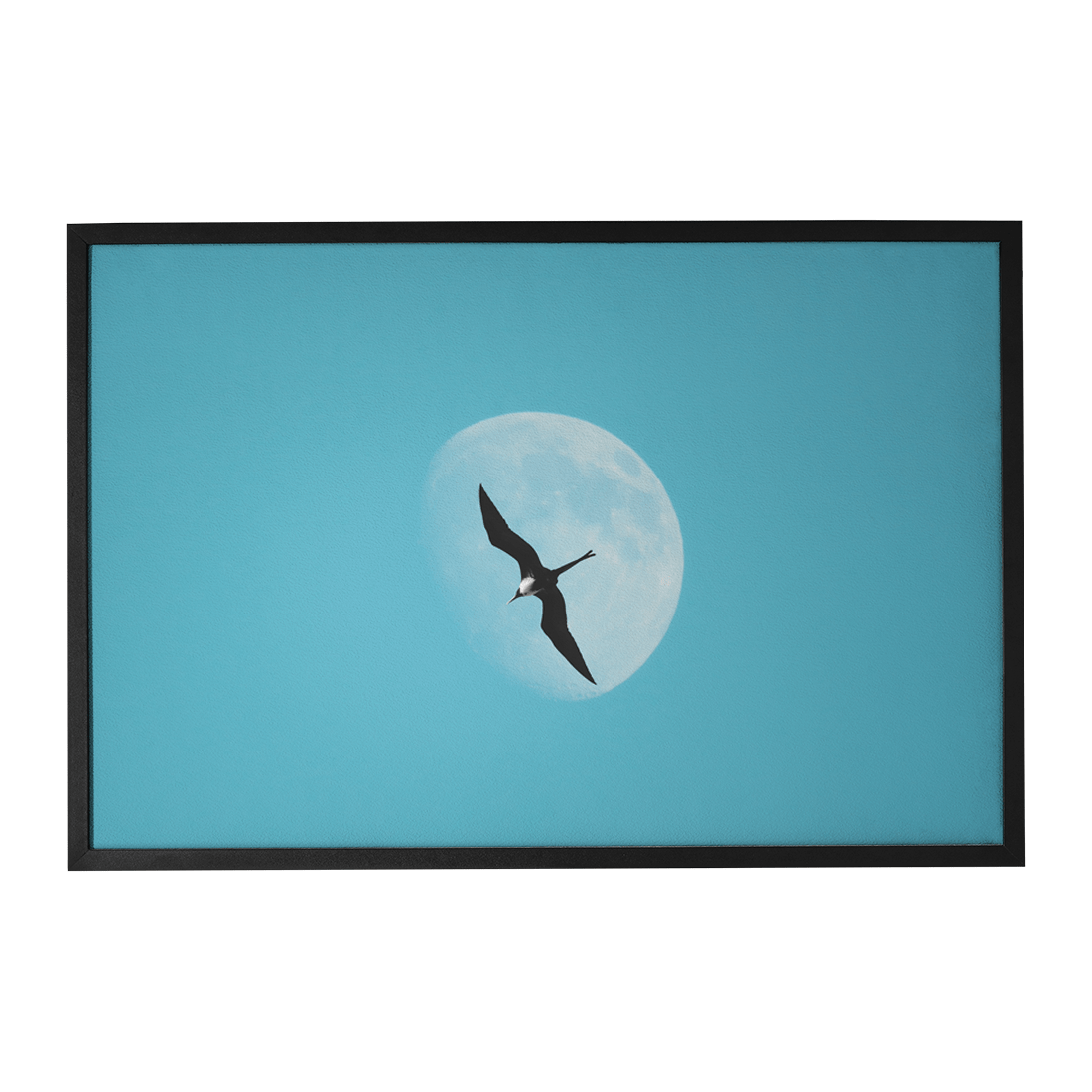 Quadro Decorativo Além das Asas | Glaucon Hartmam - Meu Rodapé