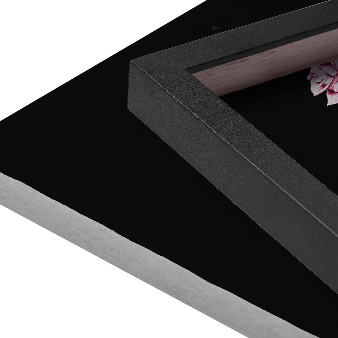 Quadro Decorativo Astro Meditation Roses | Tobias Fonseca - Meu Rodapé