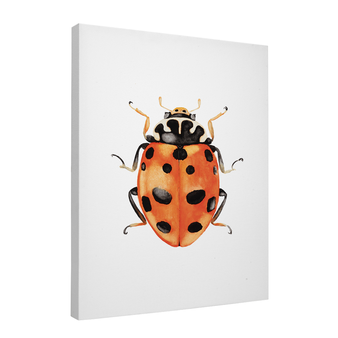 Quadro Decorativo Besouro 3 | Rodrigo Paladino - Meu Rodapé