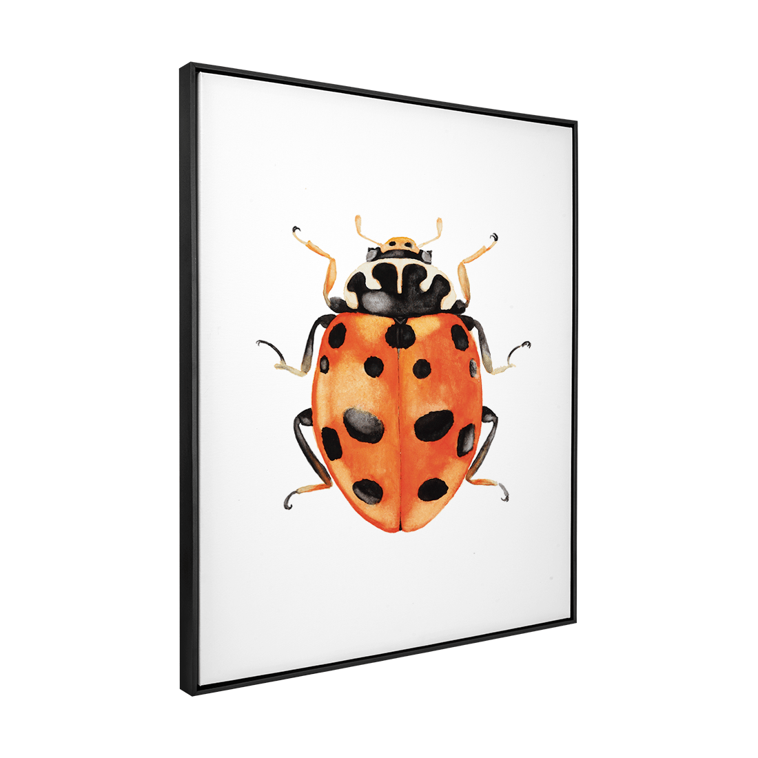 Quadro Decorativo Besouro 3 | Rodrigo Paladino - Meu Rodapé