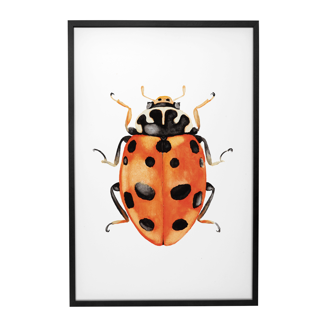 Quadro Decorativo Besouro 3 | Rodrigo Paladino - Meu Rodapé