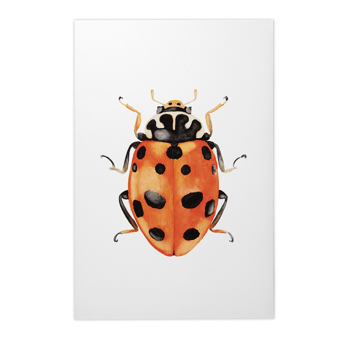 Quadro Decorativo Besouro 3 | Rodrigo Paladino - Meu Rodapé
