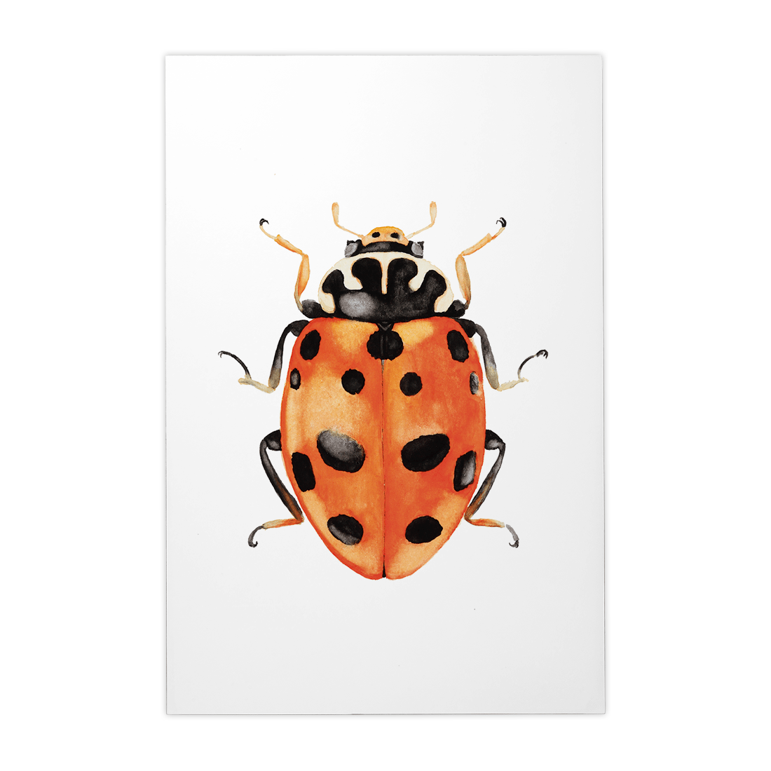 Quadro Decorativo Besouro 3 | Rodrigo Paladino - Meu Rodapé