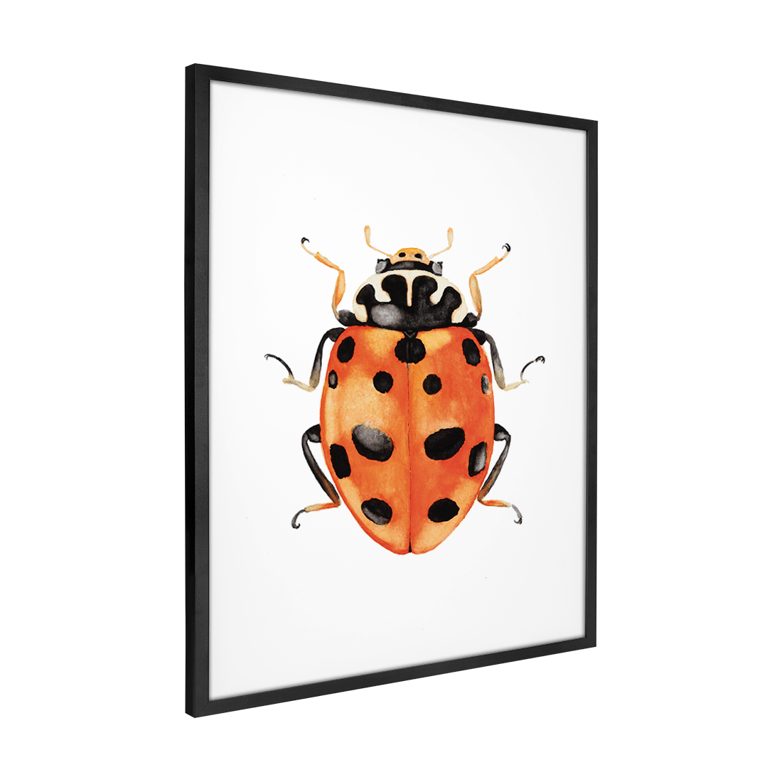 Quadro Decorativo Besouro 3 | Rodrigo Paladino - Meu Rodapé