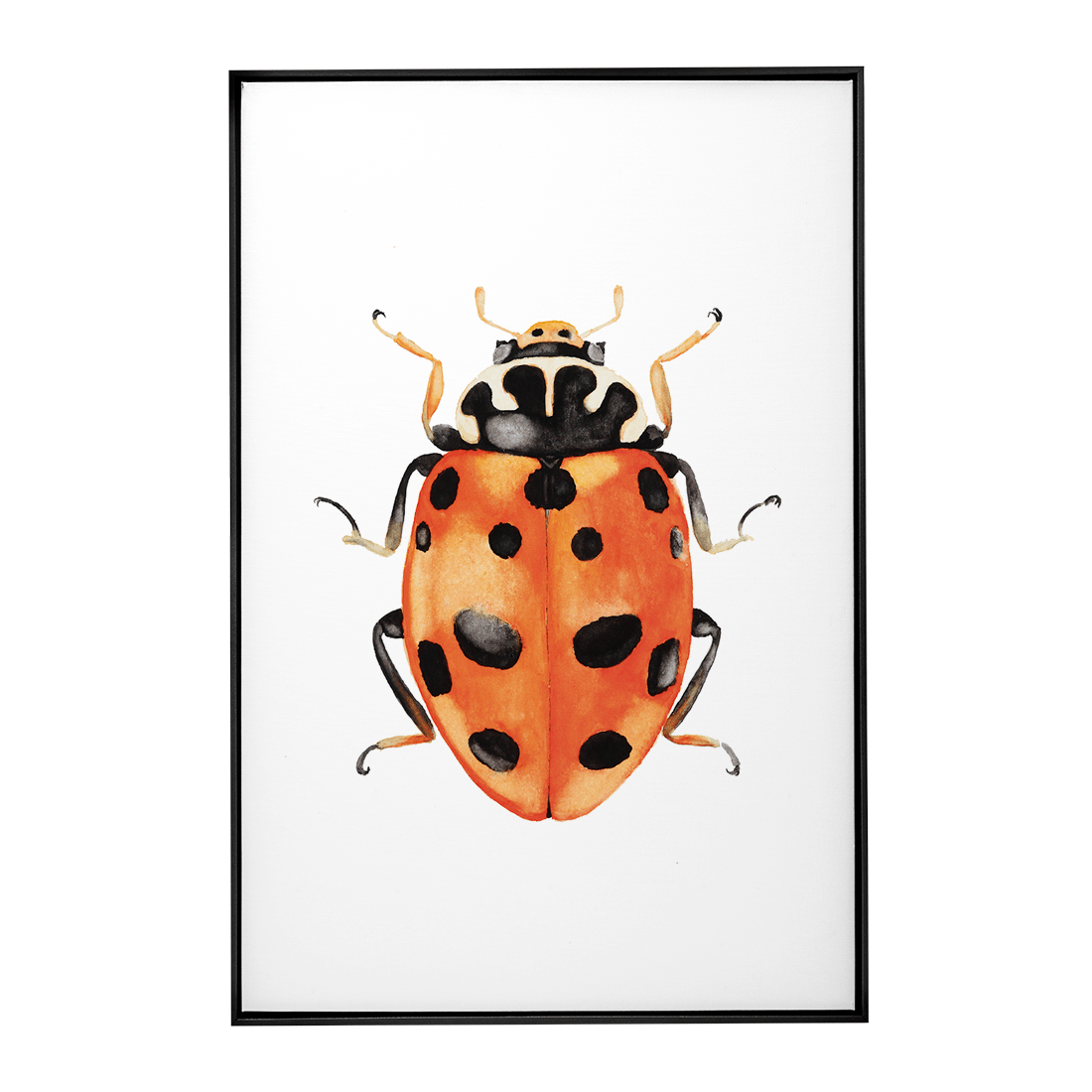 Quadro Decorativo Besouro 3 | Rodrigo Paladino - Meu Rodapé