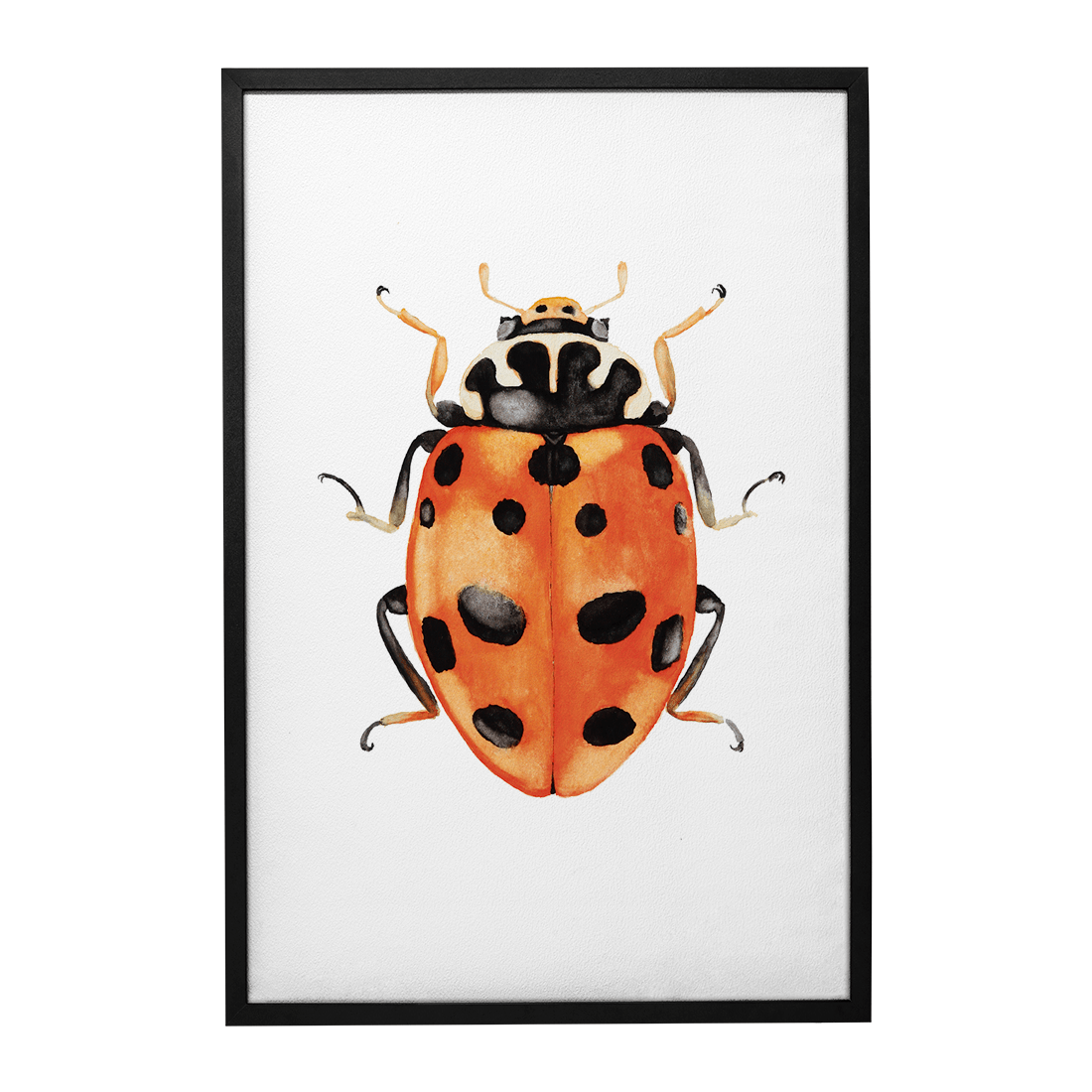 Quadro Decorativo Besouro 3 | Rodrigo Paladino - Meu Rodapé