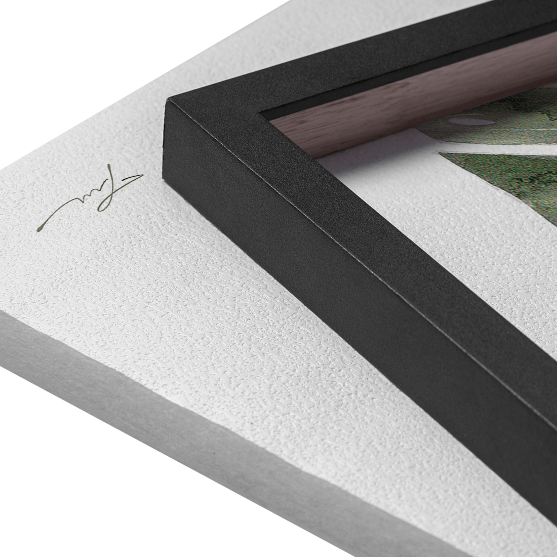 Quadro Decorativo Costela de Adão | Thaís Mota - Meu Rodapé
