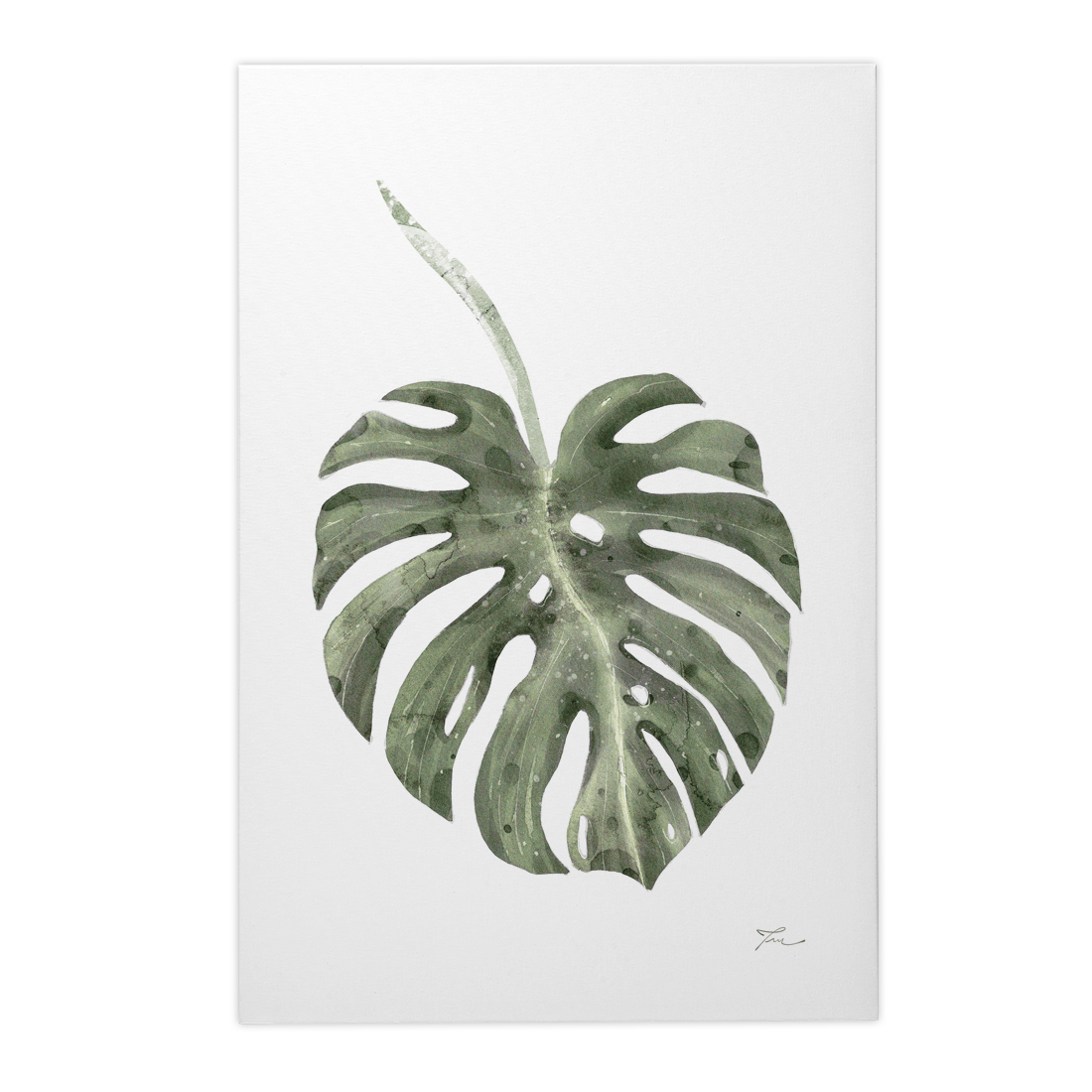 Quadro Decorativo Costela de Adão | Thaís Mota - Meu Rodapé