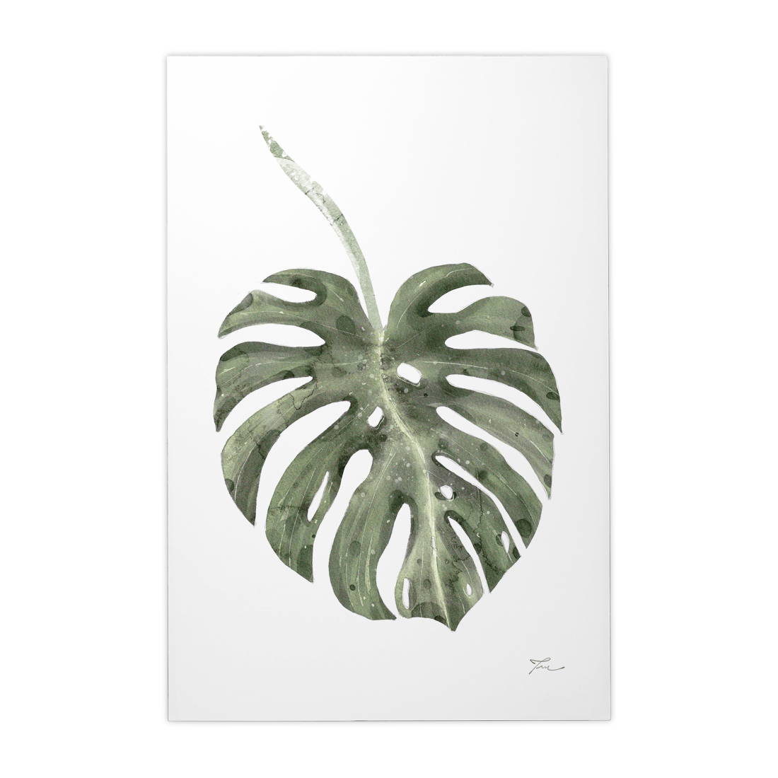 Quadro Decorativo Costela de Adão | Thaís Mota - Meu Rodapé