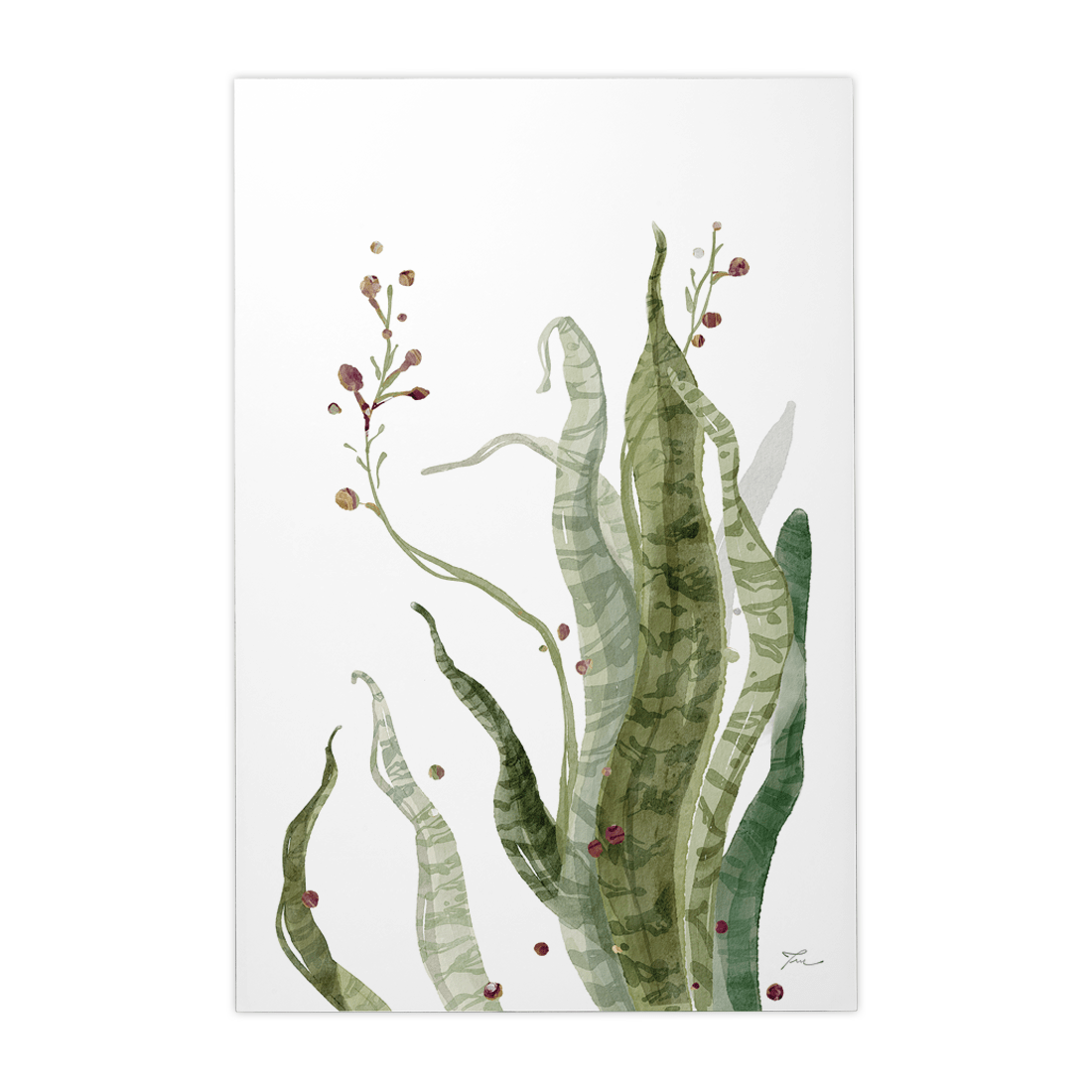 Quadro Decorativo Espada - de - São - Jorge Florida | Thaís Mota - Meu Rodapé