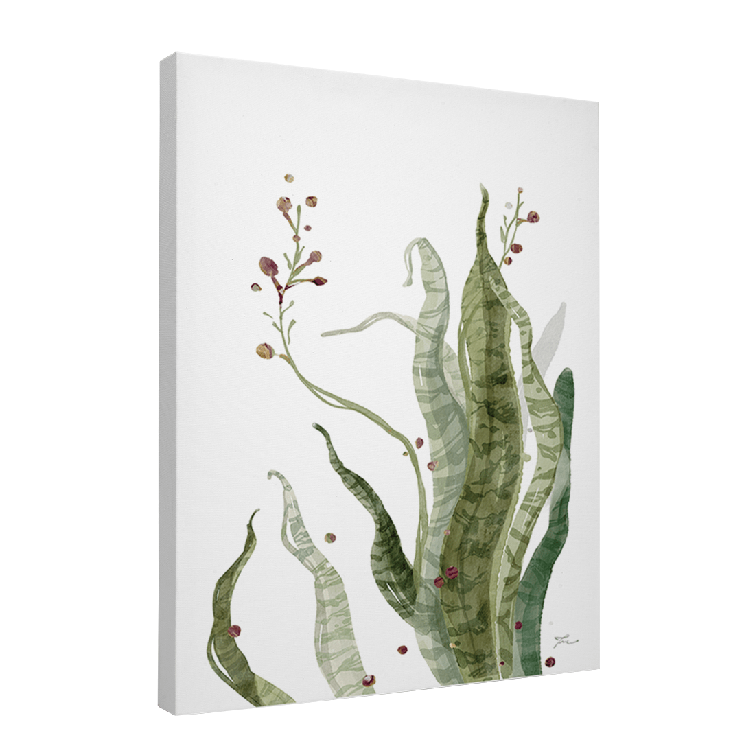 Quadro Decorativo Espada - de - São - Jorge Florida | Thaís Mota - Meu Rodapé