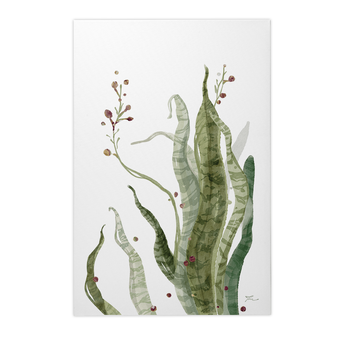 Quadro Decorativo Espada - de - São - Jorge Florida | Thaís Mota - Meu Rodapé