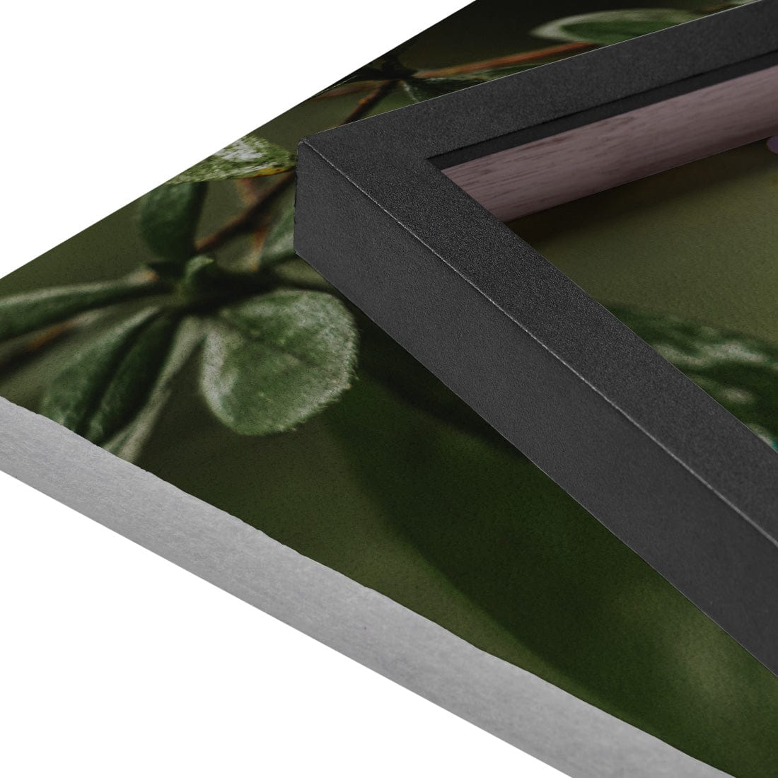 Quadro Decorativo Flor 2 | Albori Ribeiro - Meu Rodapé