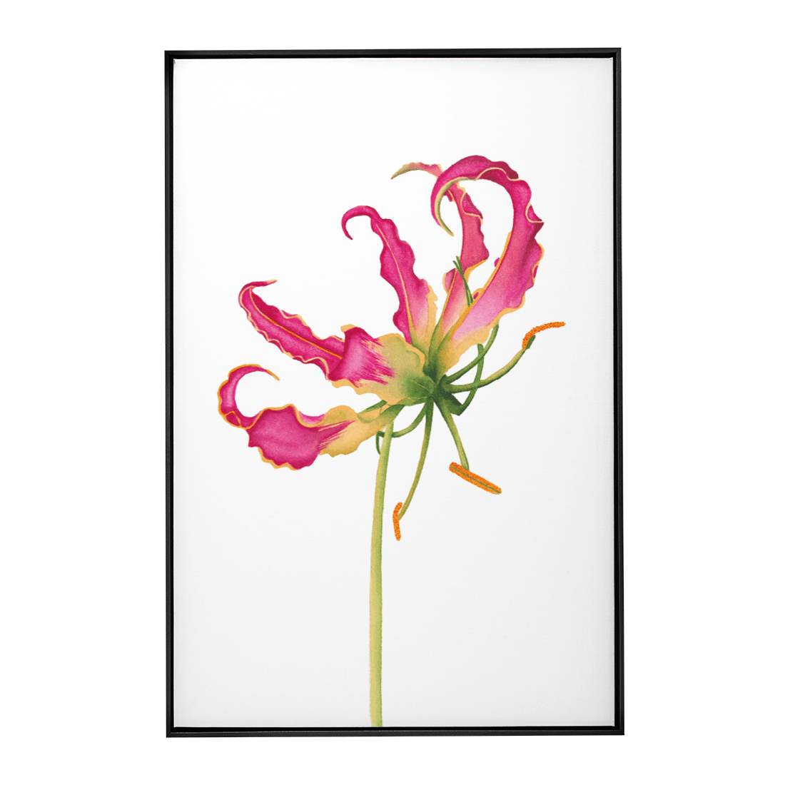 Quadro Decorativo Flor Gloriosa | Aline Gomes - Meu Rodapé