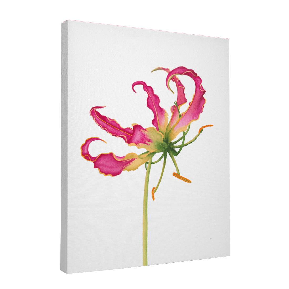 Quadro Decorativo Flor Gloriosa | Aline Gomes - Meu Rodapé