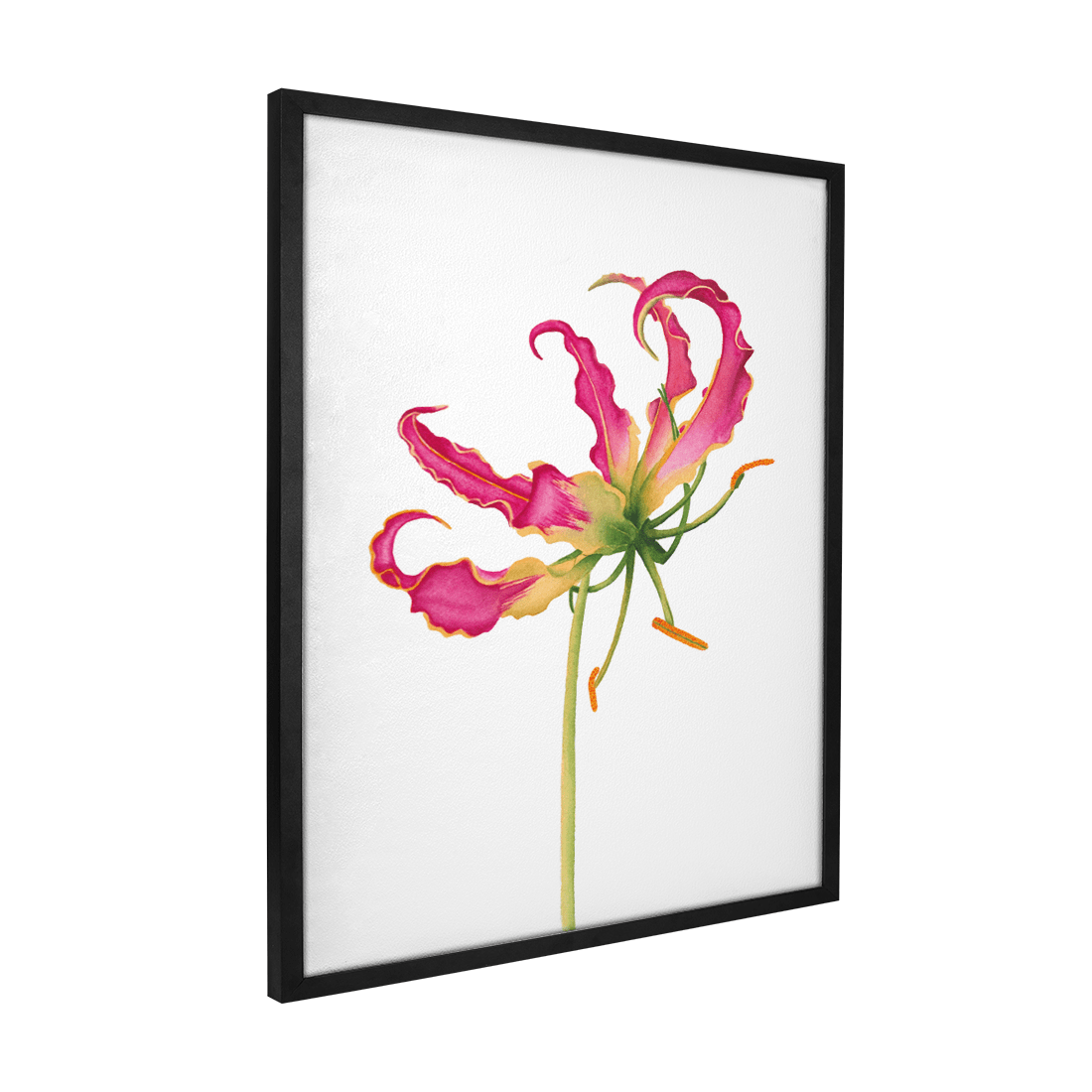 Quadro Decorativo Flor Gloriosa | Aline Gomes - Meu Rodapé